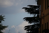 Img 073